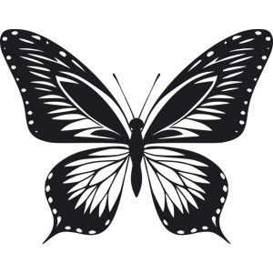 Vsepropejska Motýl dekorace na zeď 11 Rozměr (cm): 38 x 30, Dekor: Černá