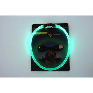 Vsepropejska Blesk LED nabíjecí obojek pro psa Barva: Zelená, Obvod krku: 50 cm