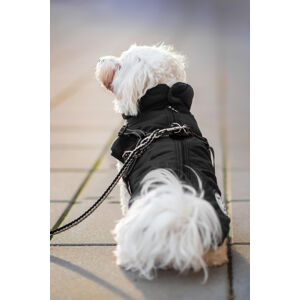 Vsepropejska Filip obleček pro psa na zip Barva: Černá, Délka zad (cm): 36, Obvod hrudníku: 46 - 51 cm
