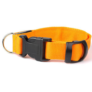 Vsepropejska Small svítící obojek pro psy | 19 - 38 cm Barva: Oranžová
