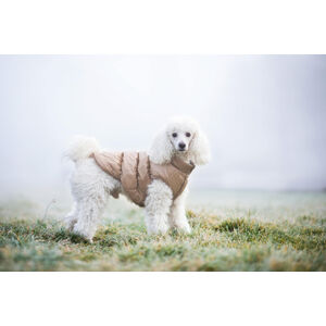 Vsepropejska Warm zimní bunda pro psa s kožichem Barva: Béžová, Délka zad (cm): 44, Obvod hrudníku: 50 - 62 cm