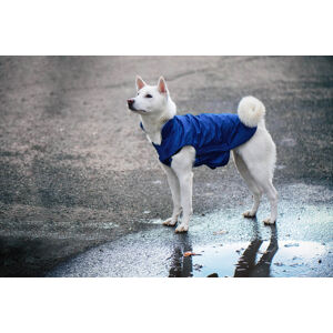 Vsepropejska Dasty bunda pro psa s reflexními prvky Barva: Modrá, Délka zad (cm): 44, Obvod hrudníku: 56 - 68 cm