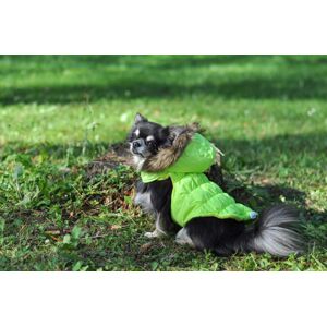 Vsepropejska Neo zimní bunda s kapucí pro psa Barva: Žlutá, Délka zad (cm): 20, Obvod hrudníku: 32 - 38 cm