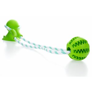 Vsepropejska Sena interaktivní hračka pro psa Barva: Zelená