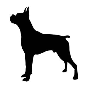 Vsepropejska Boxer dřevěná dekorace na zeď Rozměr (cm): 55 x 50, Typ: Typ 3, Dekor: Bílá + jméno psa