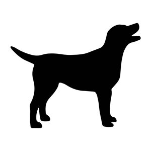 Vsepropejska Labrador dřevěná dekorace na zeď Rozměr (cm): 65 x 80, Typ: Typ 4, Dekor: Bílá + jméno psa