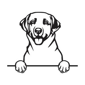 Vsepropejska Labrador dřevěná dekorace na zeď Rozměr (cm): 65 x 74, Typ: Typ 3, Dekor: Bílá + jméno psa