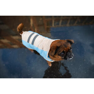 Vsepropejska Roy reflexní pláštěnka pro psa Barva: Modrá, Délka zad (cm): 65, Obvod hrudníku: 86 - 96 cm