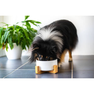 Vsepropejska Tabby keramická miska pro psa či kočku Barva: Černá, Rozměr (cm): 15