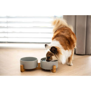 Vsepropejska Tella dvojitá keramická miska pro psa či kočku Barva: Černá, Průměr: 12 cm