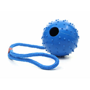 Vsepropejska Come smyčka s uzlem pro psa Barva: Modrá, Rozměr: 6 cm