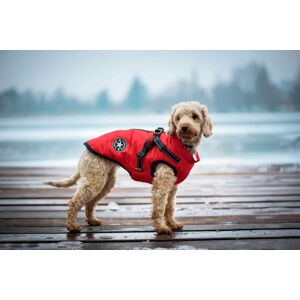 Vsepropejska Achar zimní bunda pro psa s postrojem Barva: Červená, Délka zad (cm): 56, Obvod hrudníku: 75 - 79 cm