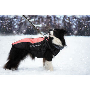 Vsepropejska Mansi zimní bunda pro psa s postrojem Barva: Modrá, Délka zad (cm): 83, Obvod hrudníku: 82 - 88 cm