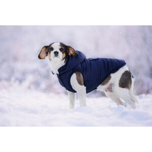 Vsepropejska Fala zimní bunda s kapucí pro psa Barva: Modrá, Délka zad (cm): 32, Obvod hrudníku: 44 - 48 cm