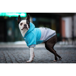 Vsepropejska Chimena sportovní zateplená mikina pro psa Barva: Modro-šedá, Délka zad (cm): 22, Obvod hrudníku: 28 - 32 cm