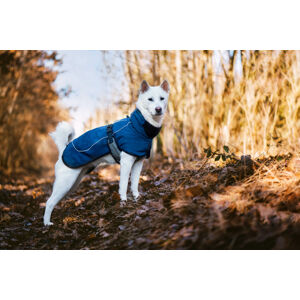Vsepropejska Maka zimní bunda pro psa Barva: Modrá, Délka zad (cm): 54, Obvod hrudníku: 76 - 82 cm