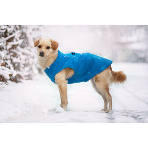 Vsepropejska Lonato fleecová mikina pro psa na ZIP Barva: Modrá, Délka zad (cm): 27, Obvod hrudníku: 36 - 40 cm