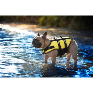 Vsepropejska Flob plovací vesta pro psa Délka zad (cm): 22, Obvod hrudníku: 36 - 44 cm