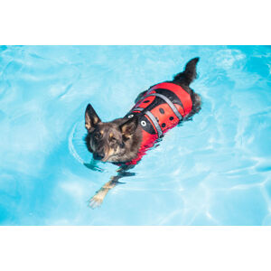 Vsepropejska Flava plovací vesta pro psa Barva: Červená, Délka zad (cm): 43, Obvod hrudníku: 76 - 81 cm
