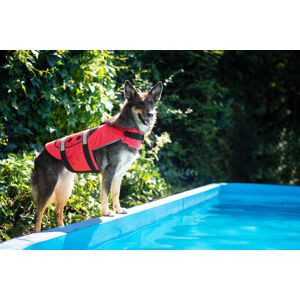 Vsepropejska Flava plovací vesta pro psa Barva: Červená, Délka zad (cm): 34, Obvod hrudníku: 52- 57 cm
