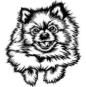 Vsepropejska Pomeranian dřevěná dekorace na zeď Rozměr (cm): 35 x 30, Typ: Pomeranian 1, Dekor: Černá + jméno psa