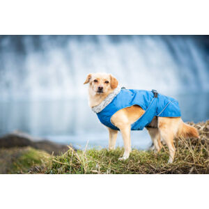Vsepropejska Furila bunda pro psa s kožíškem Barva: Modrá, Délka zad (cm): 43, Obvod hrudníku: 58 - 68 cm