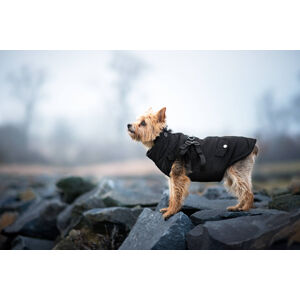 Vsepropejska Tulsi zimní bunda pro psa s postrojem Barva: Černá, Délka zad (cm): 29, Obvod hrudníku: 38 – 42 cm