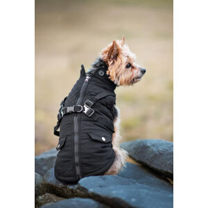 Vsepropejska Tulsi zimní bunda pro psa s postrojem Barva: Černá, Délka zad (cm): 33, Obvod hrudníku: 44 - 48 cm