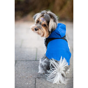 Vsepropejska Sindra zimní bunda pro psa Barva: Modrá, Délka zad (cm): 30, Obvod hrudníku: 42 - 48 cm