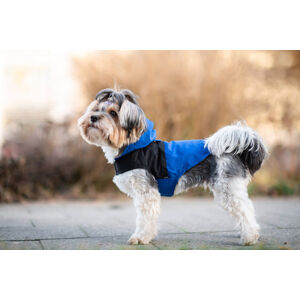Vsepropejska Sindra zimní bunda pro psa Barva: Modrá, Délka zad (cm): 25, Obvod hrudníku: 36 - 42 cm