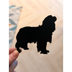 Vsepropejska Mag magnet na lednici ve tvaru psa Plemeno: Kavalír King Charles španěl