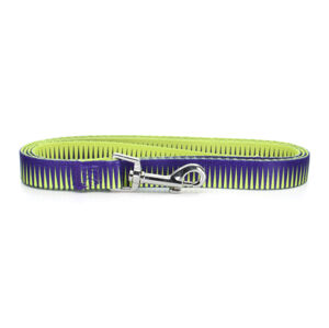 Vsepropejska Alsa fialovo - žluté vodítko pro psa Typ: Vodítko, Velikost: Délka 150 cm, šířka 2 cm