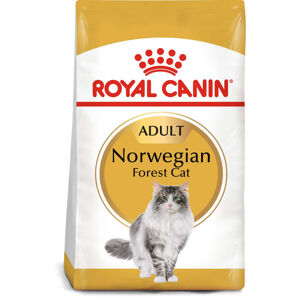 ROYAL CANIN Norwegian Forest Cat Adult pro norské lesní kočky 10 kg