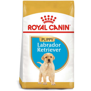 ROYAL CANIN Labrador Retriever Puppy granule pro štěňata 3 kg