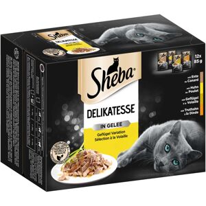 Sheba Delikatesse drůbeží maso v želé variace 12 × 85 g